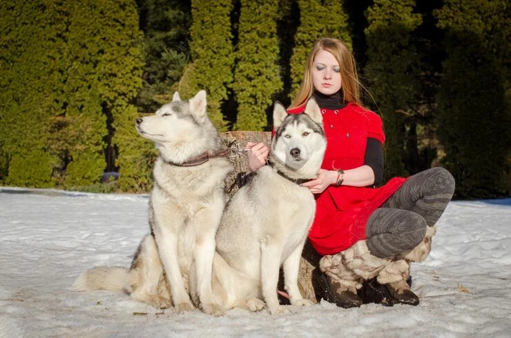 Ground Transport in the UK & Tampa